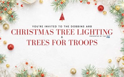 2024 Tree Lighting & Giveaway